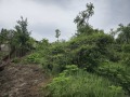 Продава ПАРЦЕЛ, област Велико Търново, с. Къпиново • 26000 € • 87876263 — Holmes.bg