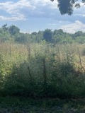 Продава  Парцел област Бургас , гр. Царево , 806 кв.м | 80034768 - изображение [3]