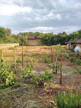 Hus Ivansja, region Veliko Tarnovo 5