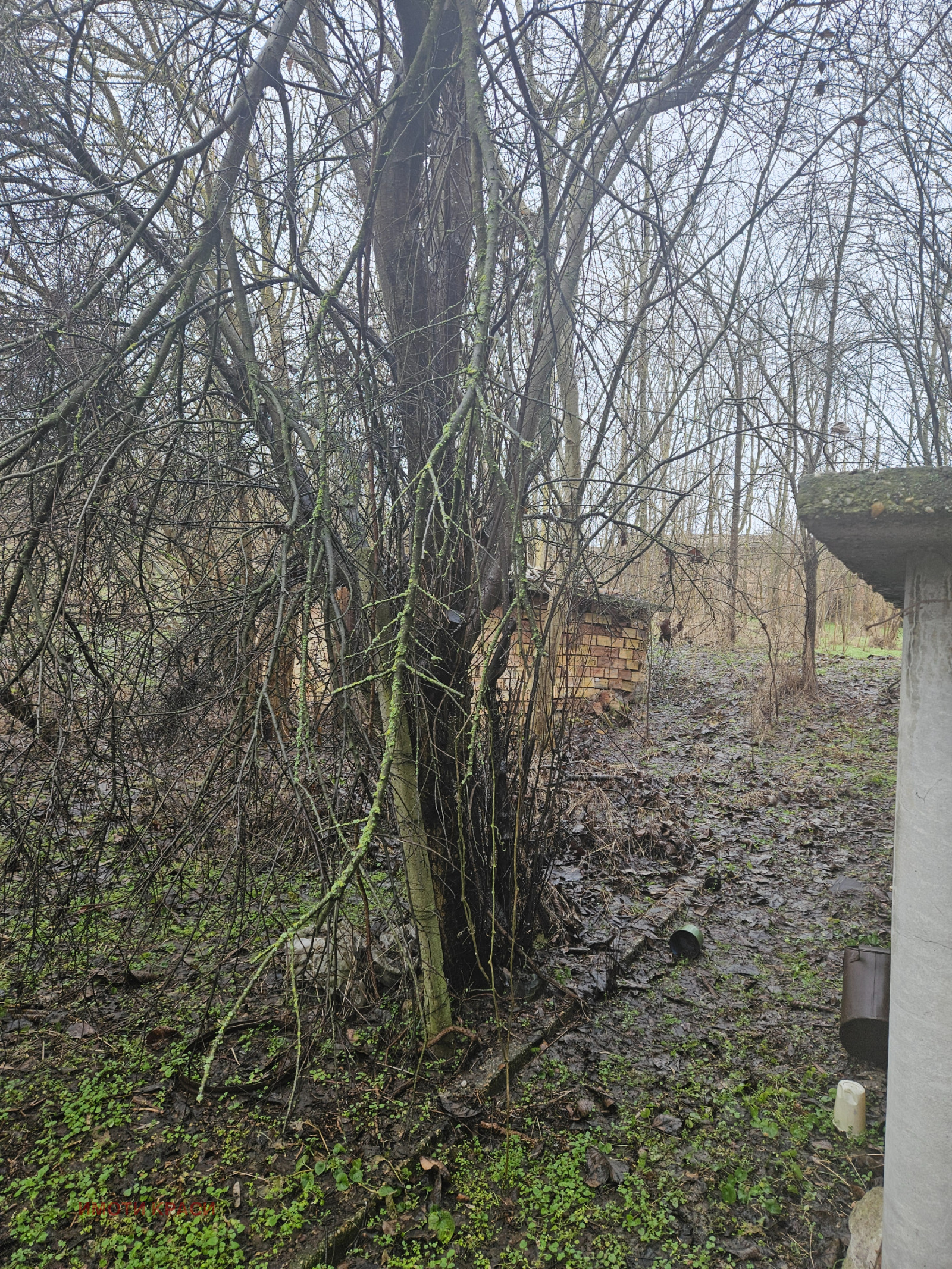 ������� ���� | Imot.bg � ����������� 1