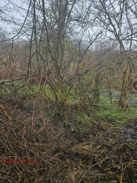 ������� ���� | Imot.bg � ����� ������ 7