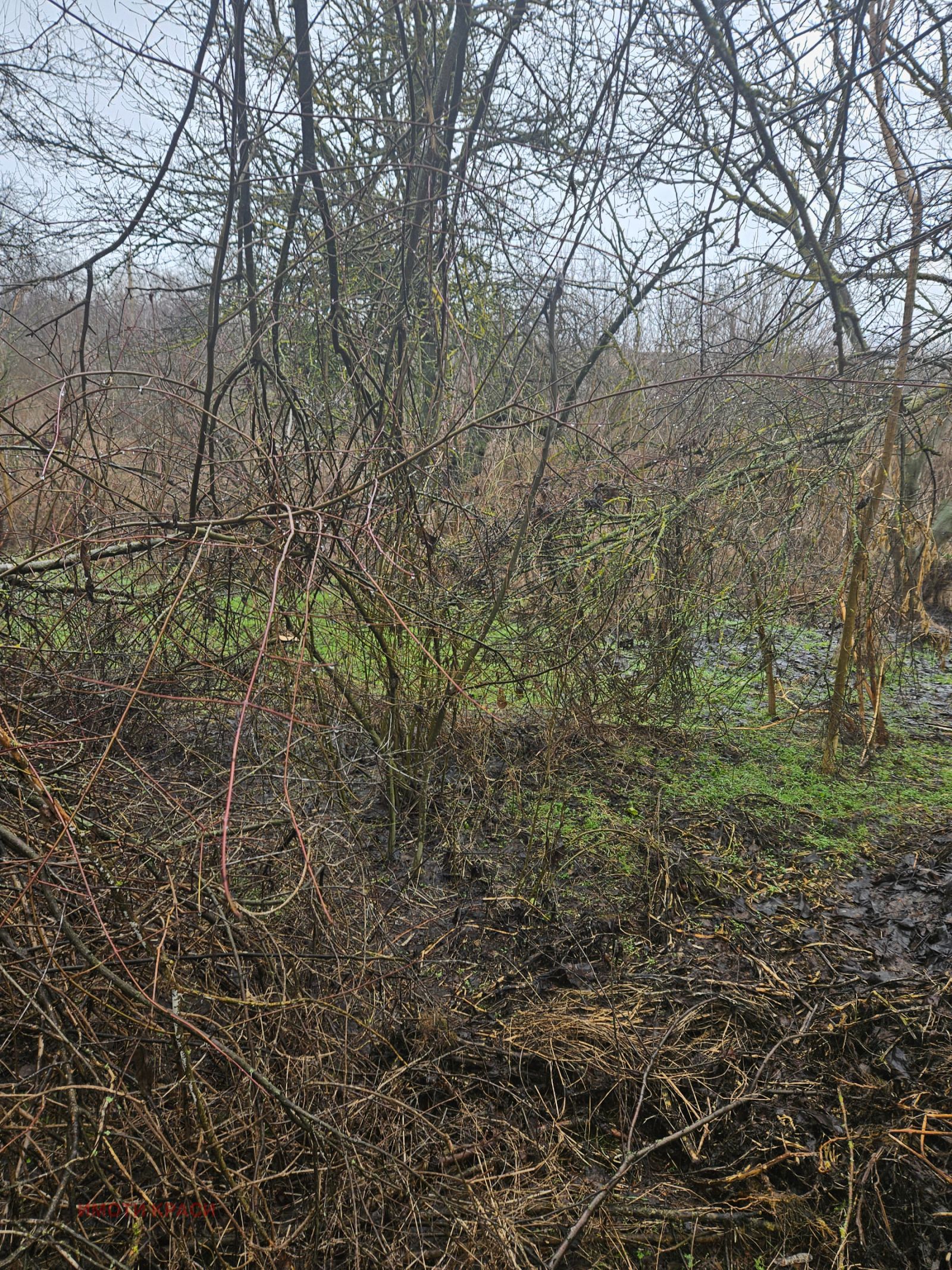 Продава КЪЩА, с. Караманово, област Русе, снимка 6 - Къщи - 53732441