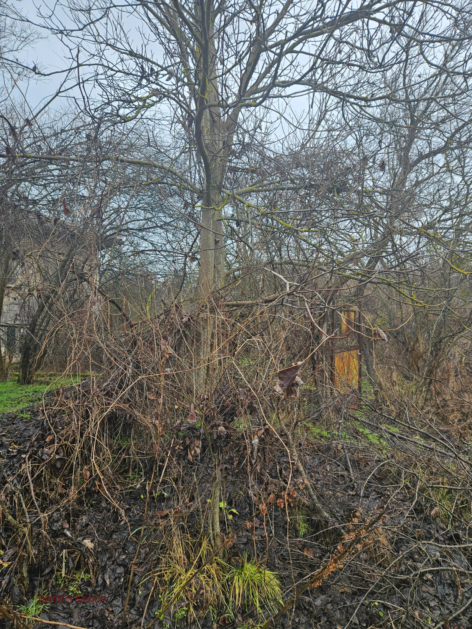 Продава КЪЩА, с. Караманово, област Русе, снимка 3 - Къщи - 53732441