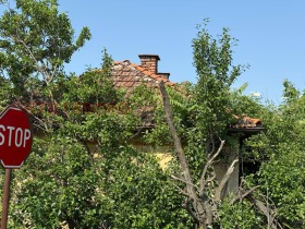 For Sale House