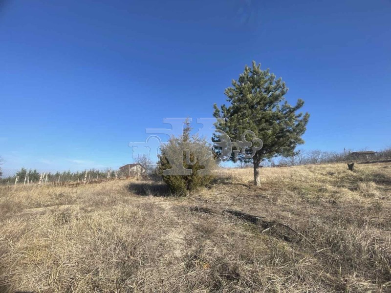 For Sale  Plot Varna , m-t Borovets - sever , 734 sq.m | 60368218 - image [5]