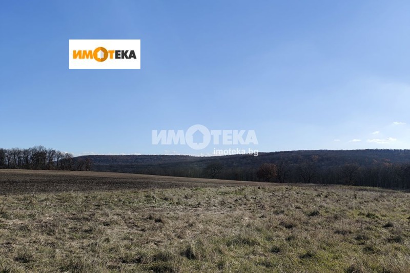 Продава  Парцел област Варна , с. Садово , 9430 кв.м | 43010192 - изображение [5]