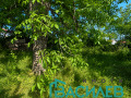 Продава КЪЩА, гр. Годеч, област София област, снимка 7