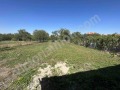 Продава КЪЩА, област Велико Търново, с. Ново село • 135000 € • 61462516 — Holmes.bg