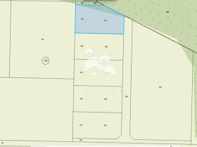 ����� ������� ������,�. �������, ������ �������