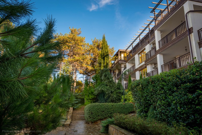 Eladó  Stúdió régió Burgasz , Sozopol , 47 négyzetméter | 74571315 - kép [11]