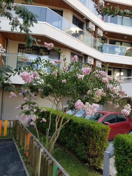 Продава  2-стаен град Варна , Бриз , 64 кв.м | 82683505 - изображение [17]