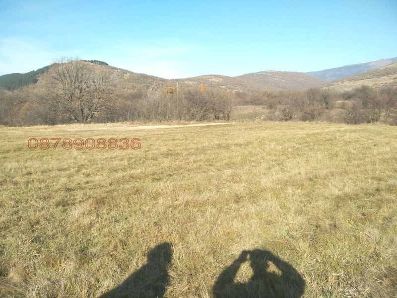 Продава ЗЕМЕДЕЛСКА ЗЕМЯ, с. Боснек, област Перник, снимка 7 - Земеделска земя - 52785633