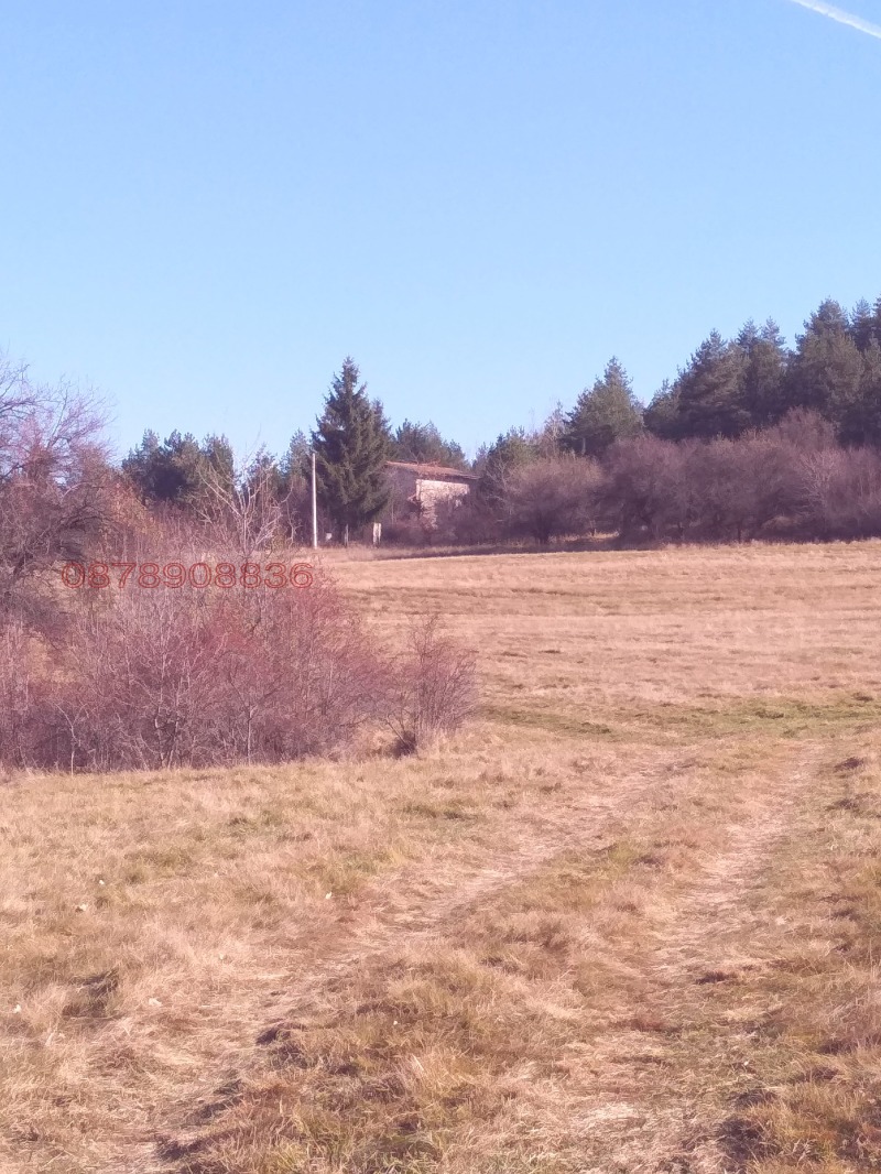 Продава ЗЕМЕДЕЛСКА ЗЕМЯ, с. Боснек, област Перник, снимка 11 - Земеделска земя - 52785633