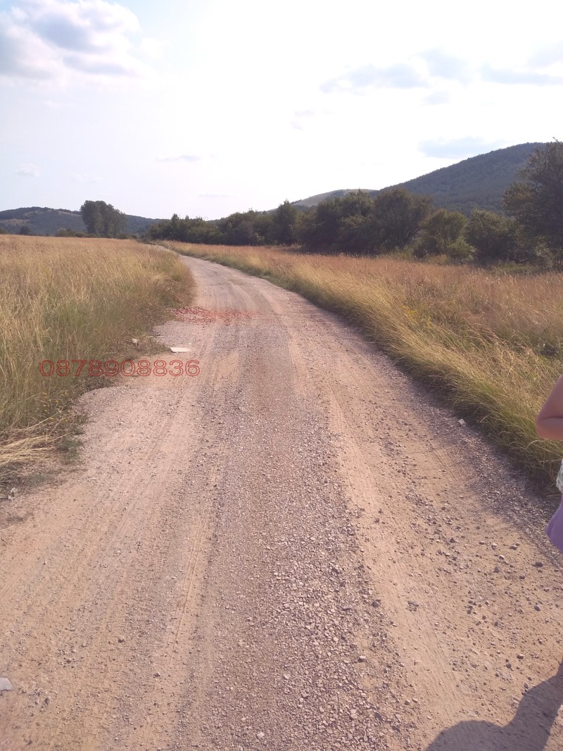 Продава ЗЕМЕДЕЛСКА ЗЕМЯ, с. Боснек, област Перник, снимка 13 - Земеделска земя - 52785633