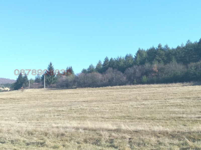 Продава ЗЕМЕДЕЛСКА ЗЕМЯ, с. Боснек, област Перник, снимка 8 - Земеделска земя - 52785633