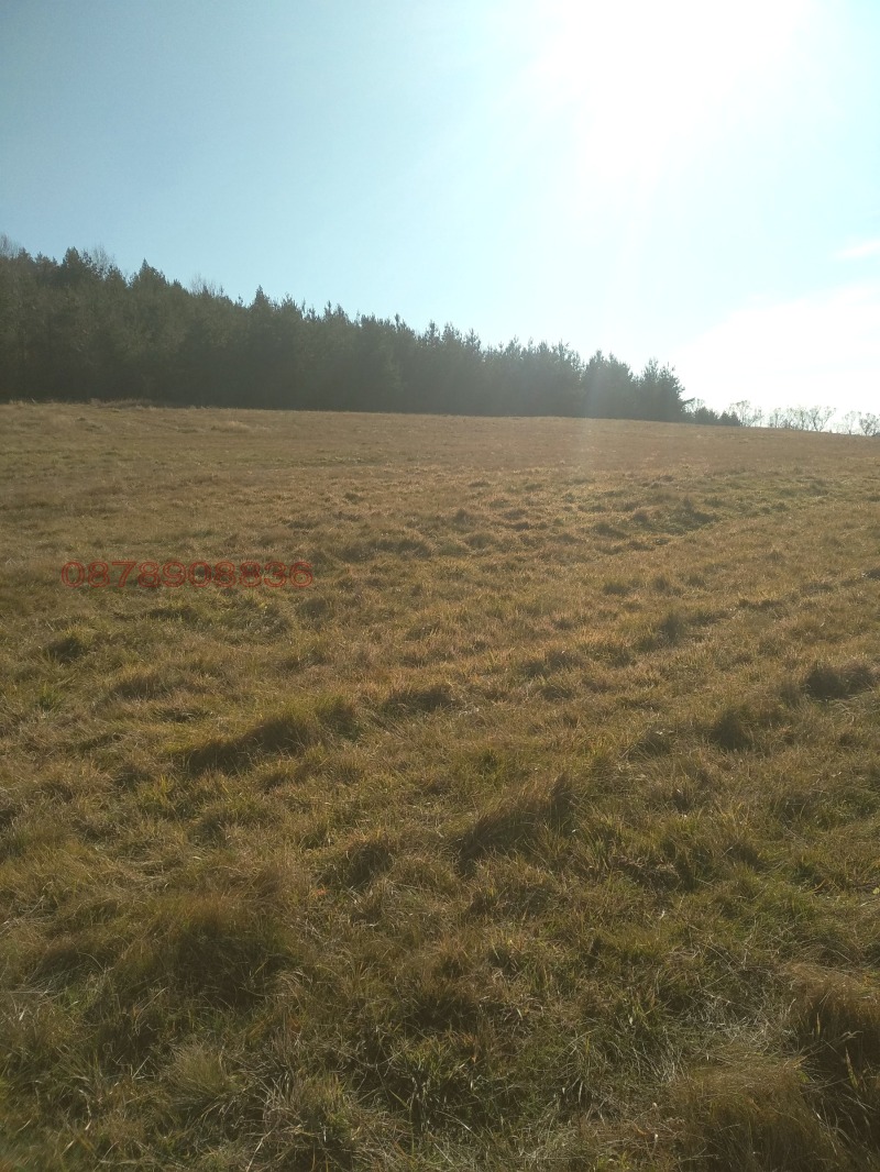 Продава ЗЕМЕДЕЛСКА ЗЕМЯ, с. Боснек, област Перник, снимка 5 - Земеделска земя - 52785633