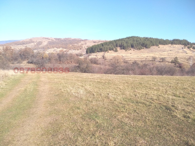 Продава ЗЕМЕДЕЛСКА ЗЕМЯ, с. Боснек, област Перник, снимка 2 - Земеделска земя - 52785633