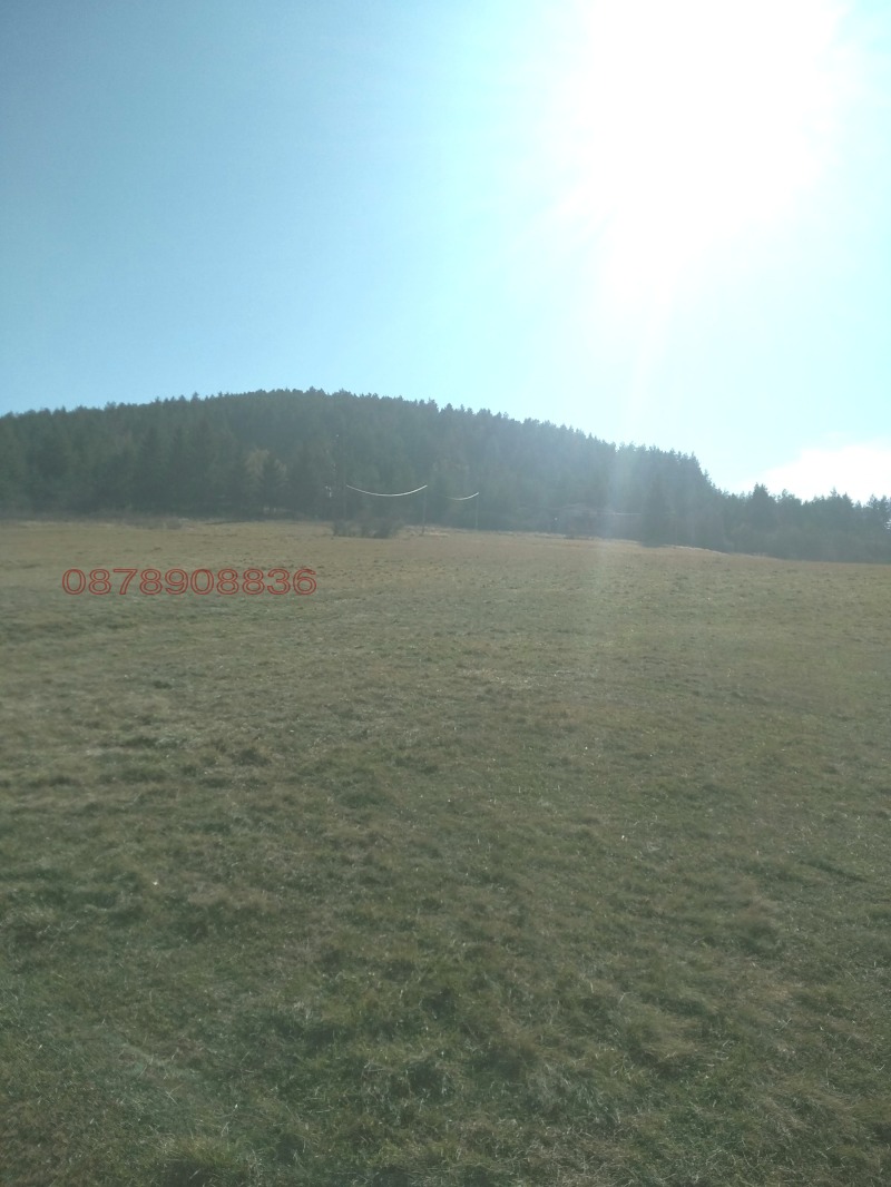 Продава ЗЕМЕДЕЛСКА ЗЕМЯ, с. Боснек, област Перник