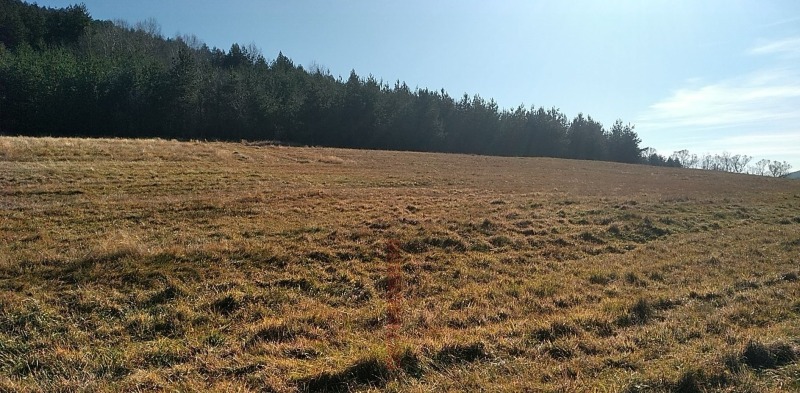 Продава ЗЕМЕДЕЛСКА ЗЕМЯ, с. Боснек, област Перник, снимка 4 - Земеделска земя - 52785633