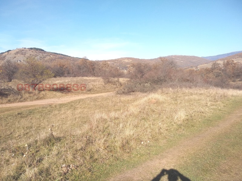 Продава ЗЕМЕДЕЛСКА ЗЕМЯ, с. Боснек, област Перник, снимка 3 - Земеделска земя - 52785633