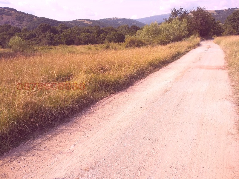 Продава ЗЕМЕДЕЛСКА ЗЕМЯ, с. Боснек, област Перник, снимка 12 - Земеделска земя - 52785633