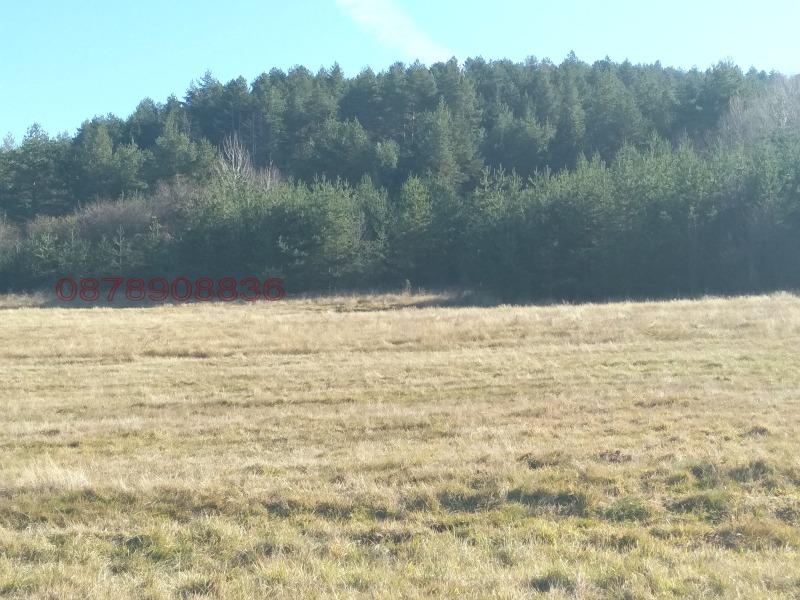 Продава ЗЕМЕДЕЛСКА ЗЕМЯ, с. Боснек, област Перник, снимка 9 - Земеделска земя - 52785633