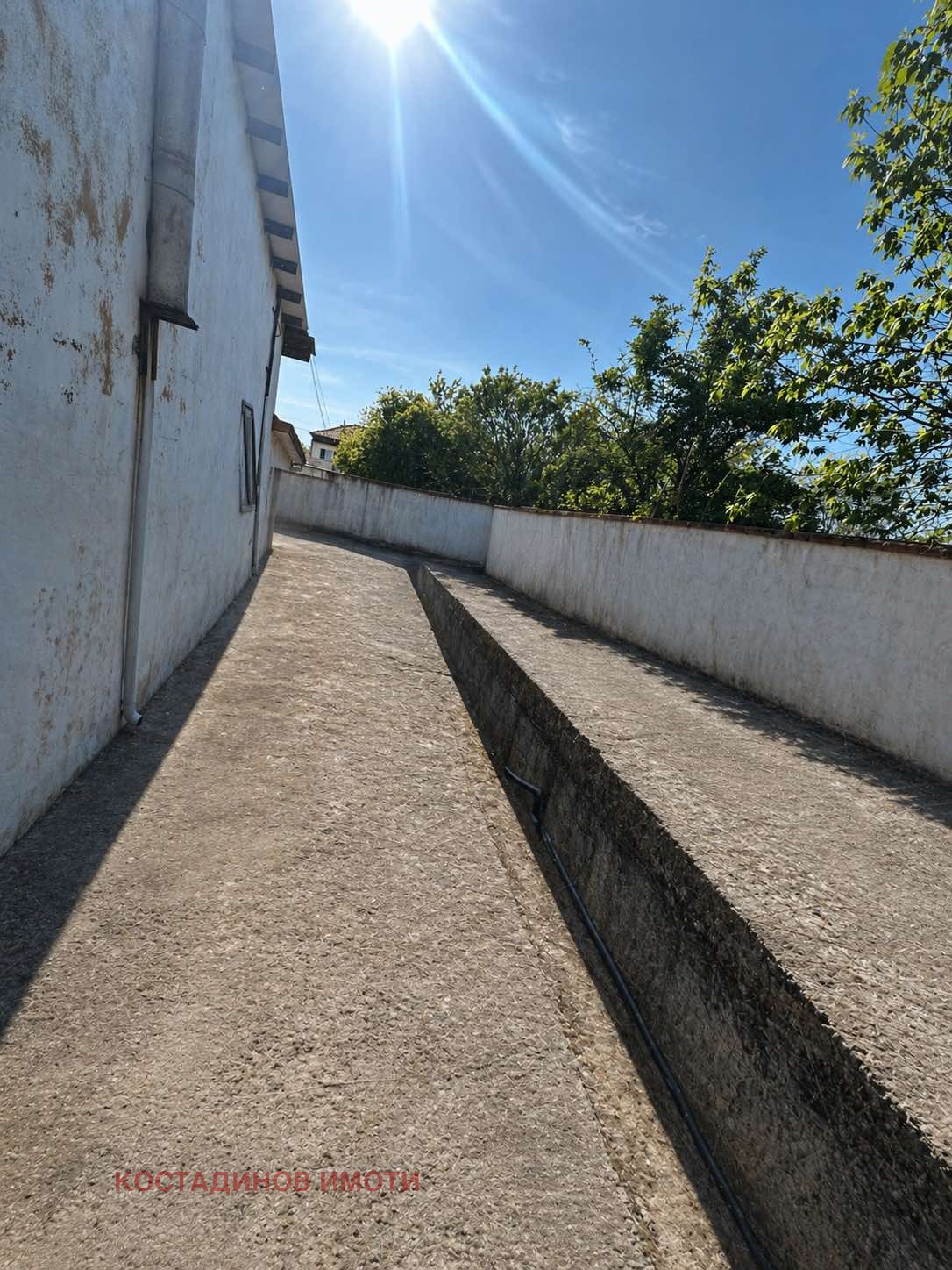 ������� ����. ��������� | Imot.bg � ����������� 7