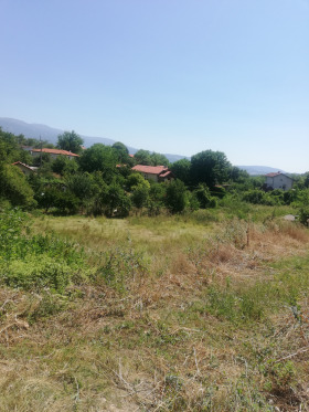 Trama Kralev dol, Região Pernik