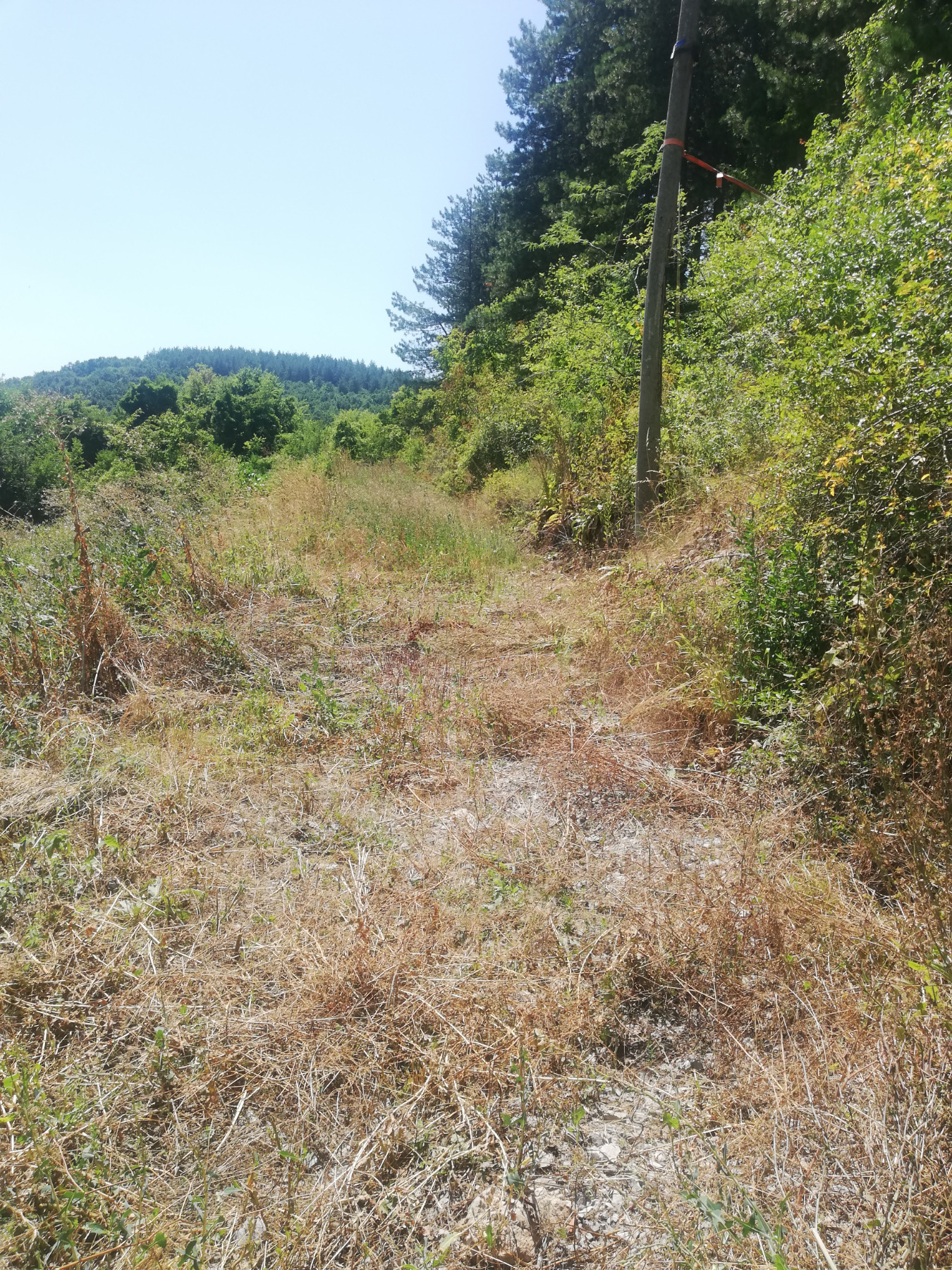 Продава ПАРЦЕЛ, с. Кралев дол, област Перник, снимка 2 - Парцели - 54273426