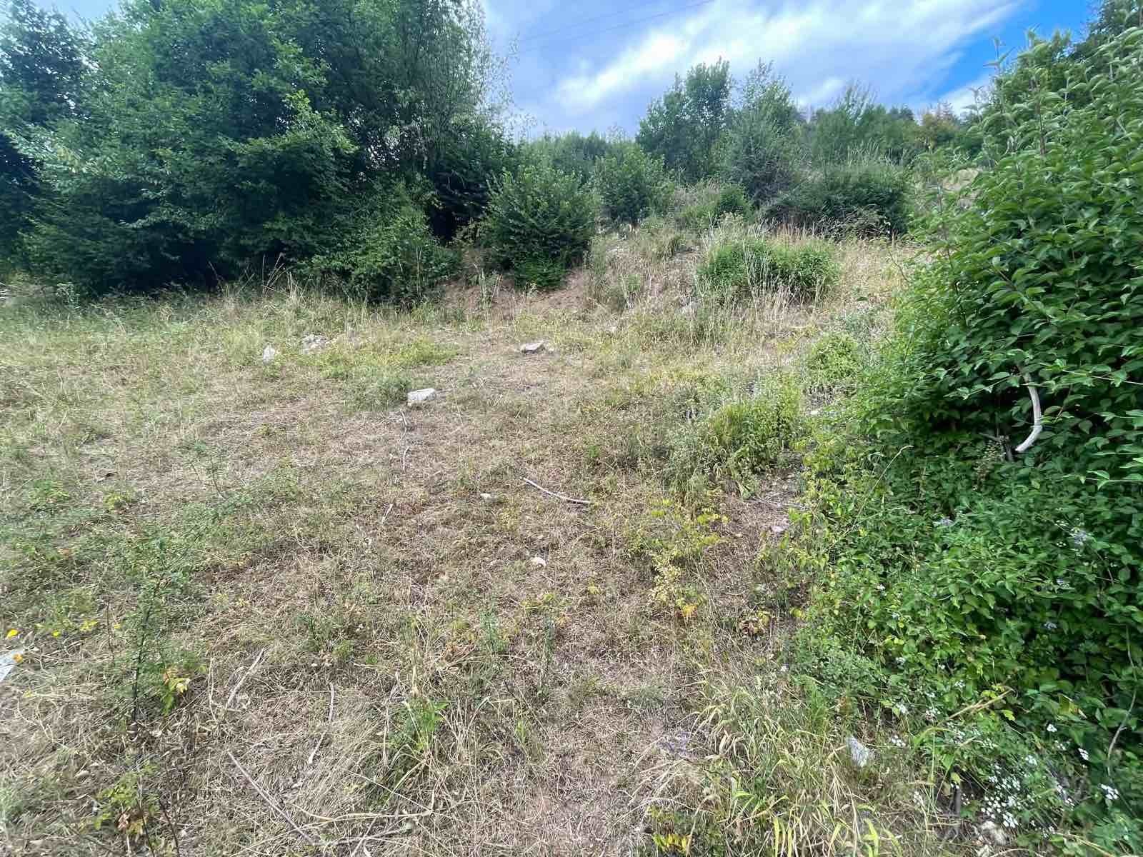 Продава ПАРЦЕЛ, гр. Девин, област Смолян, снимка 4 - Парцели - 55913900