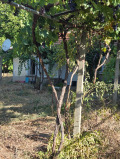 Продава КЪЩА, с. Обнова, област Плевен, снимка 2
