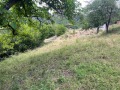 Продава ПАРЦЕЛ, гр. Девин, област Смолян, снимка 3