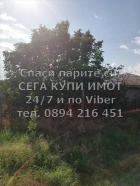 ������� ������ | Imot.bg � ����� ������ 5