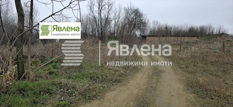 En venta  Trama región Vidin , Novoseltsi , 81693 metros cuadrados | 50451076 - imagen [5]