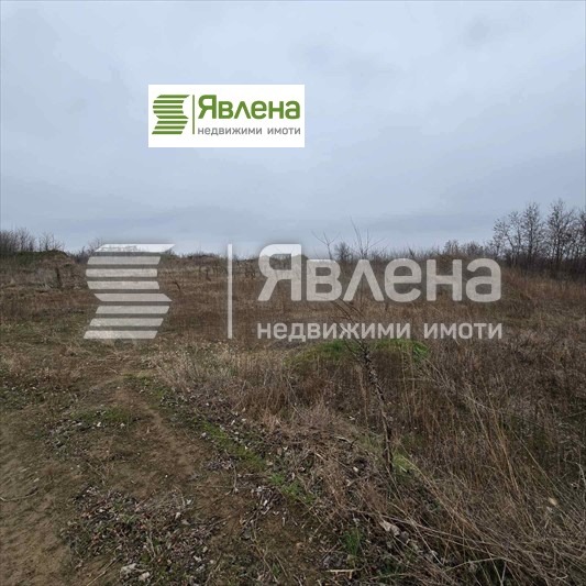 En venta  Trama región Vidin , Novoseltsi , 81693 metros cuadrados | 50451076 - imagen [2]