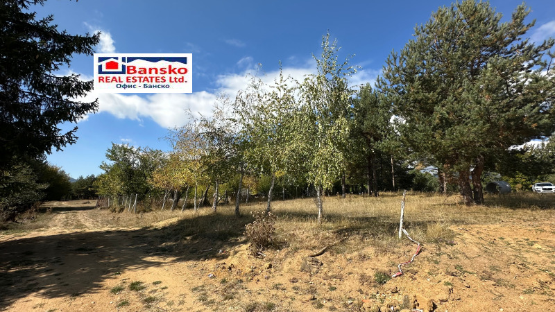 Te koop  Verhaallijn regio Blagoëvgrad , Razlog , 403 m² | 67080254 - afbeelding [8]