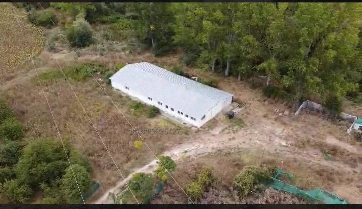 Προς πώληση  Γη περιοχή Razgrad , Ραζγραδ , 35 dka | 81137471 - εικόνα [6]