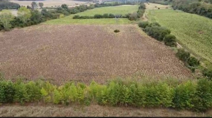 Προς πώληση  Γη περιοχή Razgrad , Ραζγραδ , 35 dka | 81137471 - εικόνα [8]