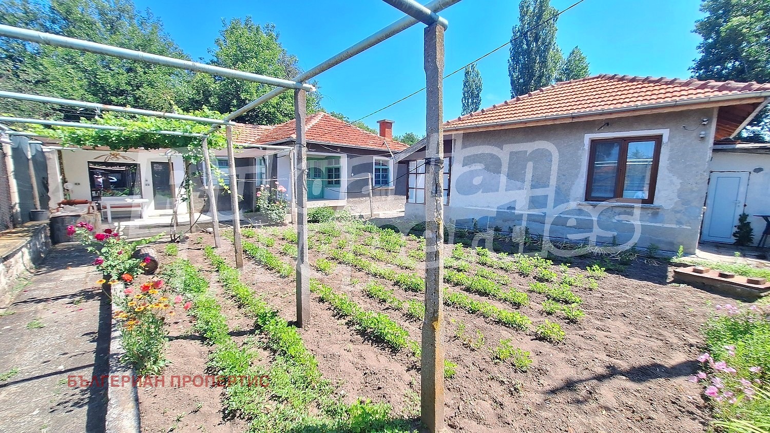 ������� ���� | Imot.bg � ����������� 1