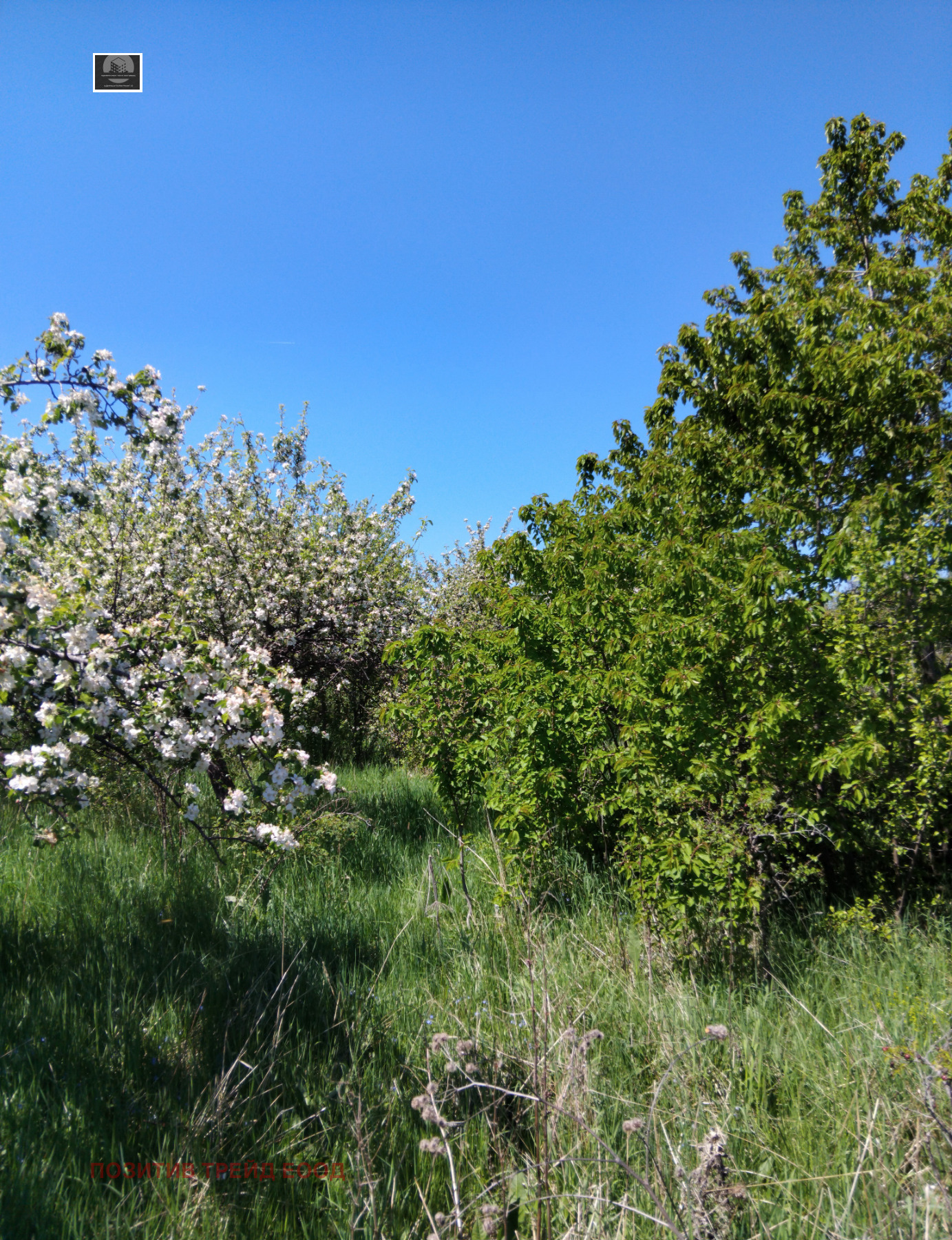 ������� ������ | Imot.bg � ����������� 1