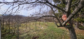 Maison Drougan, région Pernik 14