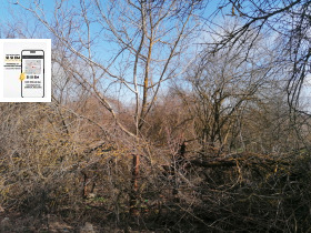 ����� ������� ������,�. ������ ������, ������ ������