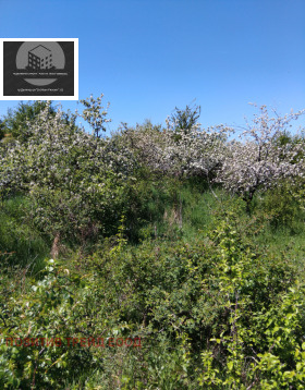 ������� ������ | Imot.bg � ����� ������ 2