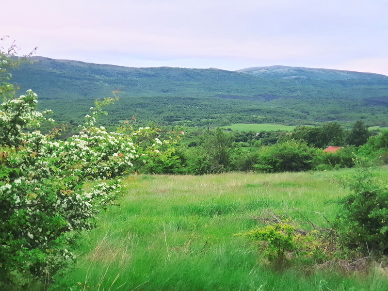 Продава КЪЩА, с. Туден, област София област, снимка 7 - Къщи - 53397673