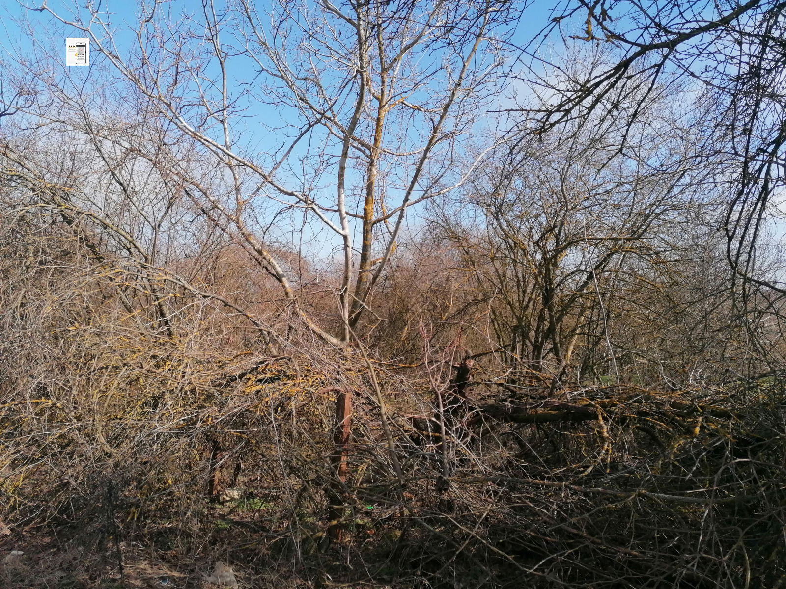 Продава ПАРЦЕЛ, с. Орлова могила, област Добрич