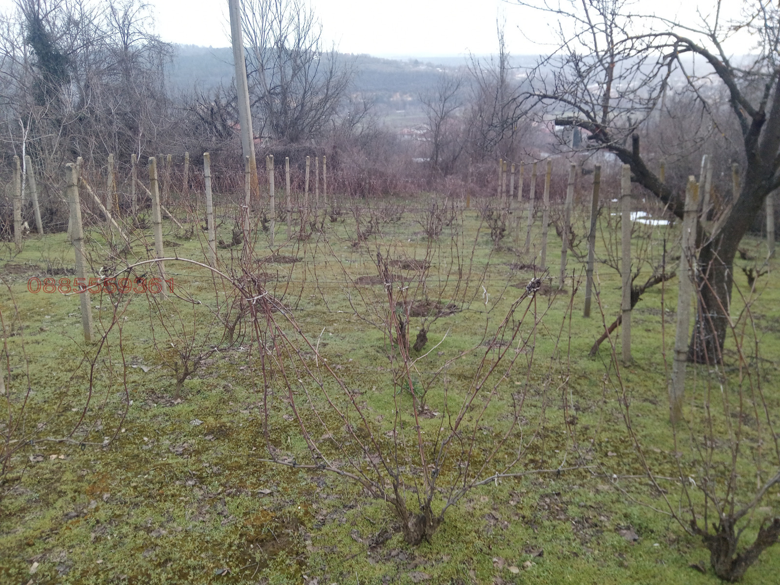 ������� ���� | Imot.bg � ����������� 7