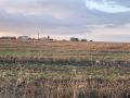 Продава ПАРЦЕЛ, област Варна, с. Кичево • 70500 € • 50352049 — Holmes.bg