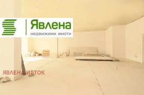 ����� ������� �������,���� �����, ������