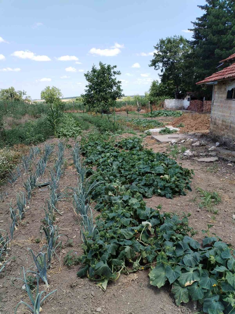 Προς πώληση  σπίτι περιοχή Razgrad , Καρα Μηχαλ , 60 τ.μ | 61978389 - εικόνα [8]