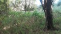 Продава КЪЩА, област Велико Търново, с. Вишовград • 10700 € • 83642689 — Holmes.bg